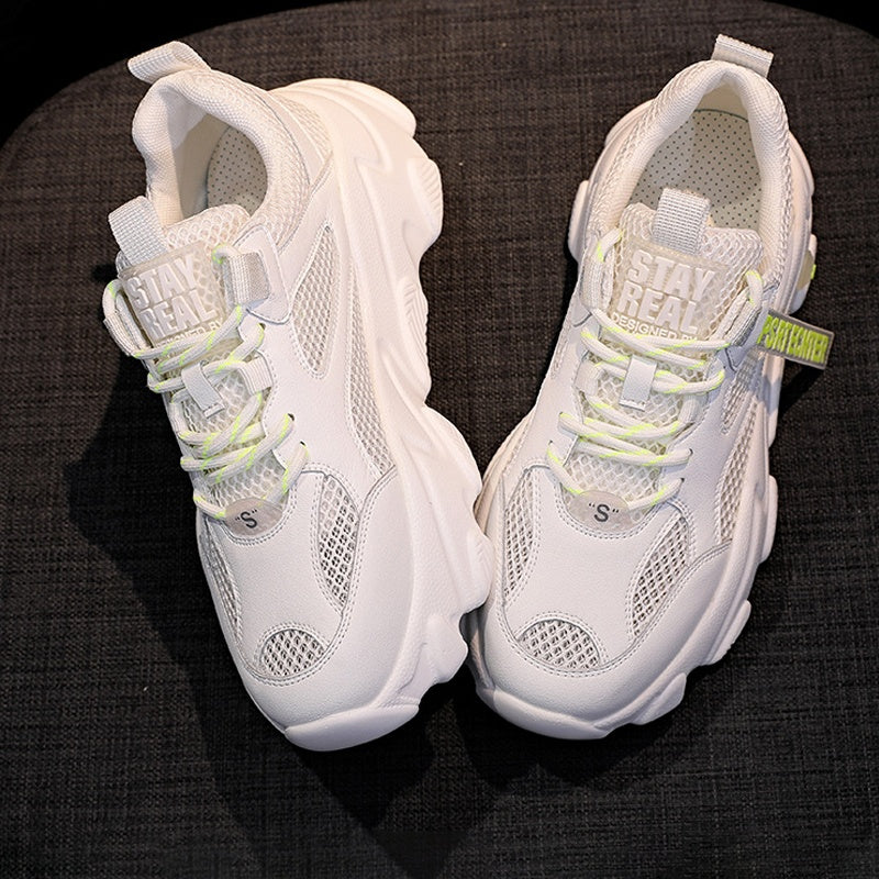 Leather old shoes